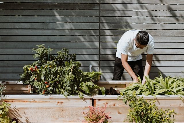 Gardening at an accessible home